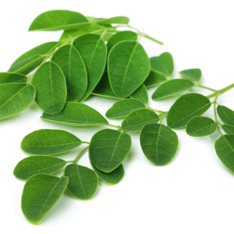 Moringa