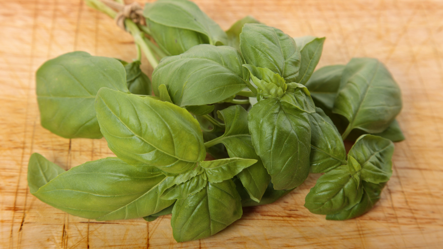 Bunch of fresh basil on an old wooden chopping board