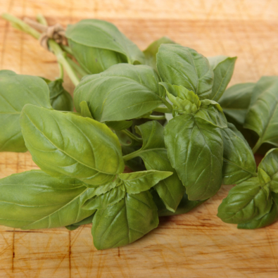 Bunch of fresh basil on an old wooden chopping board