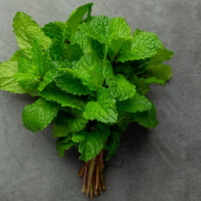 Essential oil of peppermint in bottle with fresh green peppermint